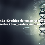 Réponse rapide : Combien de temps les œufs peuvent-ils rester à température ambiante ?